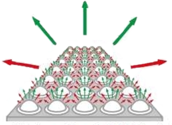 新闻图6