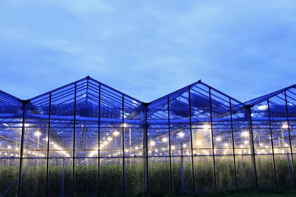 1000W COB LED Chip: Power and Efficiency Combined
