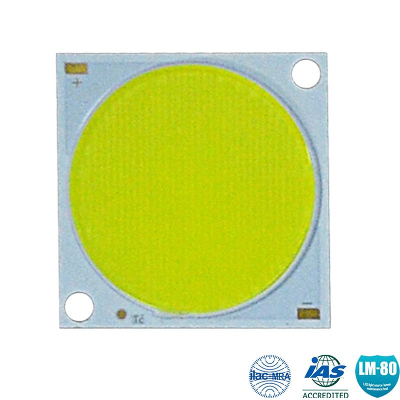 Cob Led 50w 100w 150w 200 Watt 300W COB With Superior Output Efficacy And Reliability