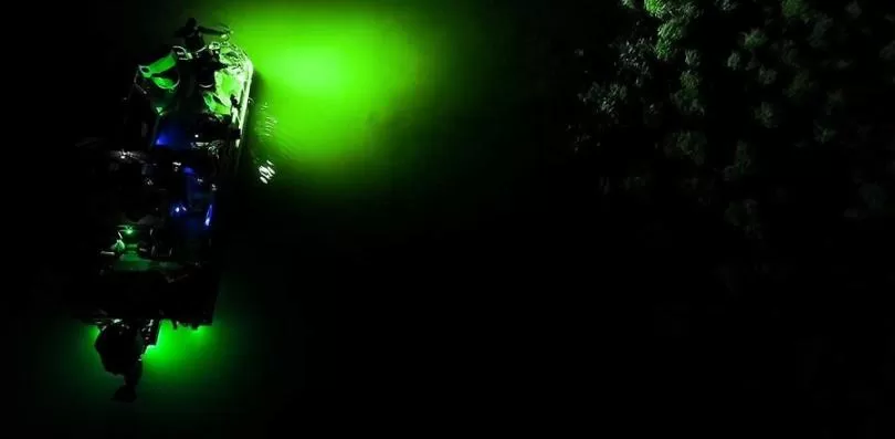 Beneath the Waves: The Magic of Green Underwater Fishing Lights