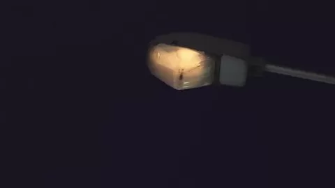 Why the street lights is flickering and buzzing?