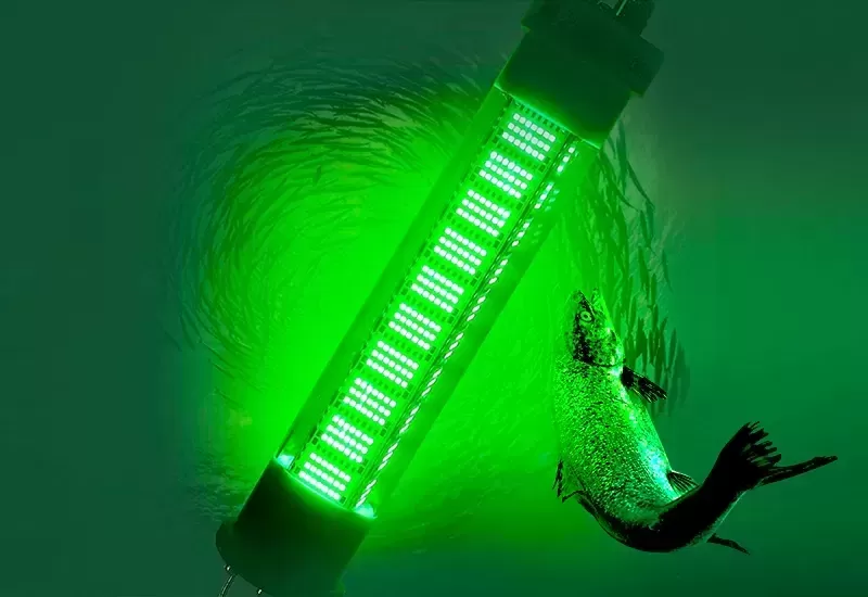 Precision Spectrum Control for Fish Farming Light Source: Boosting Growth and Reducing Stress Precision Spectrum Control for Fish Farming Light Source: Boosting Growth and Reducing Stress
