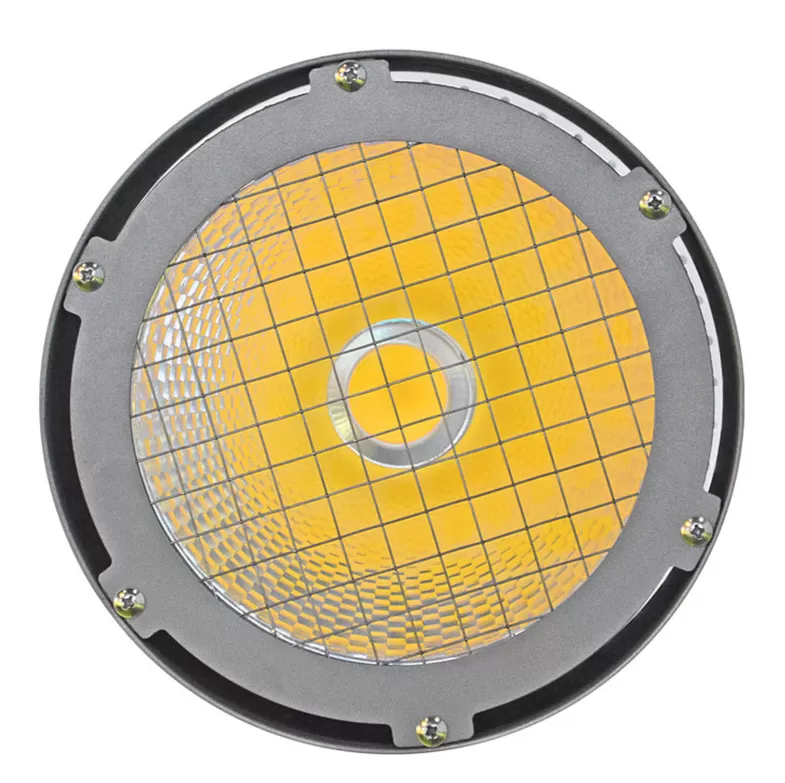 2024 Comprehensive Guide to Bulk Buying Custom COB Down Light