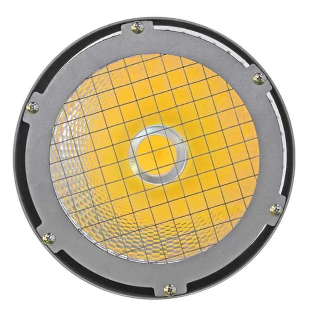 ip65 downlights