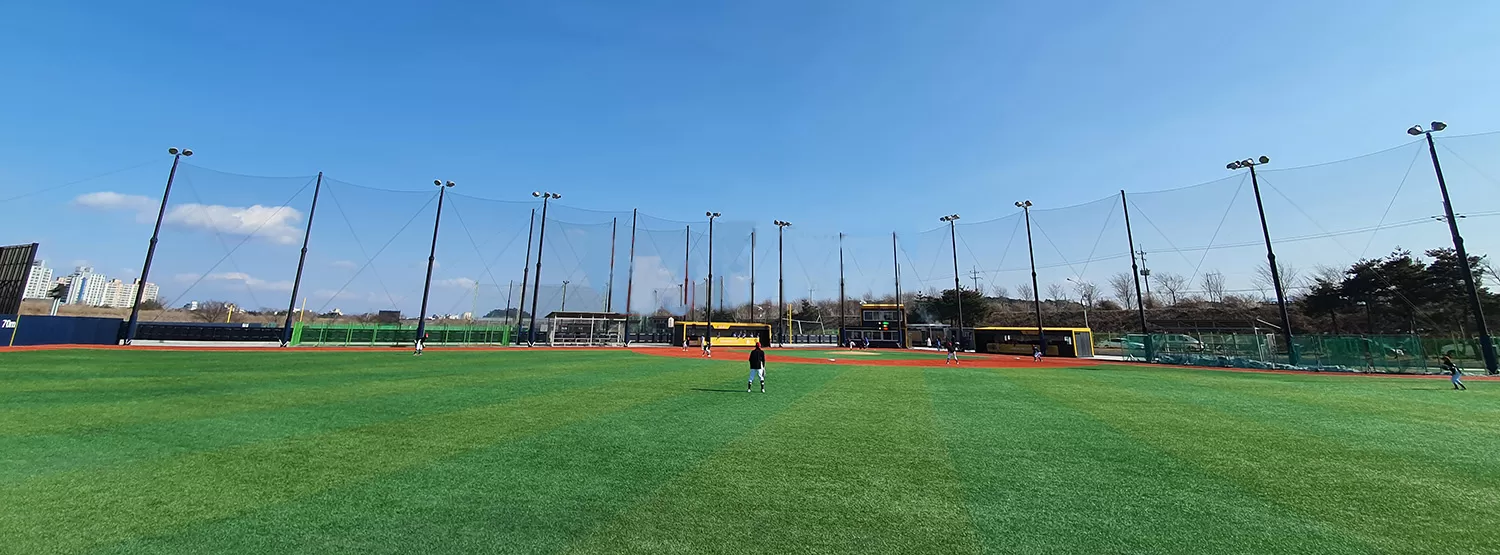 kangreung_little_baseball_001