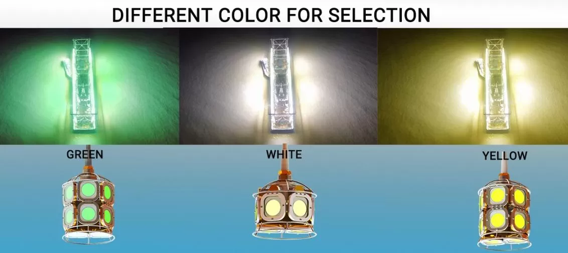 Illuminate the Depths: K-COB LED Night Fishing Lights