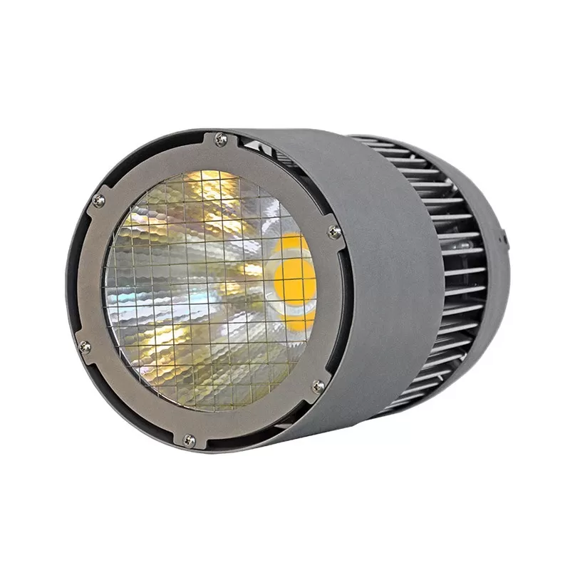 smart led downlights
