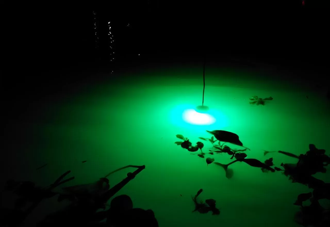 submersible fishing light
