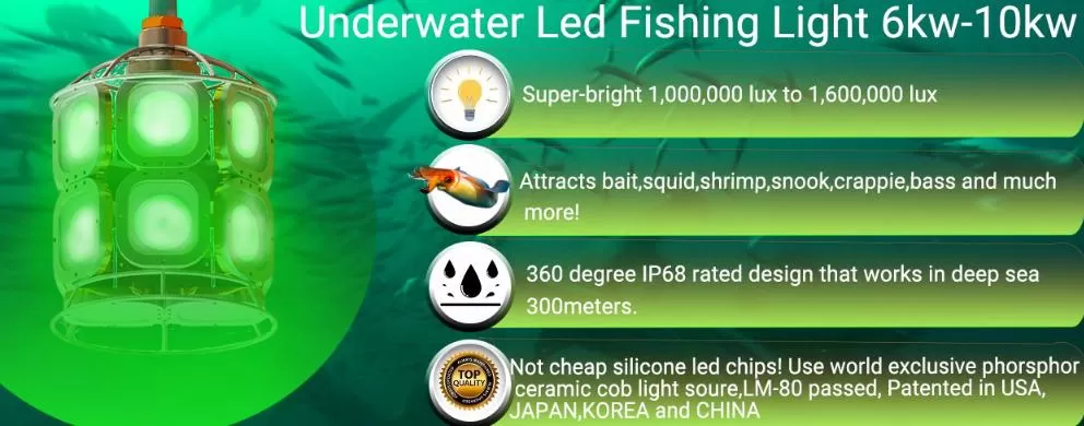 underwater squid light underwater squid light