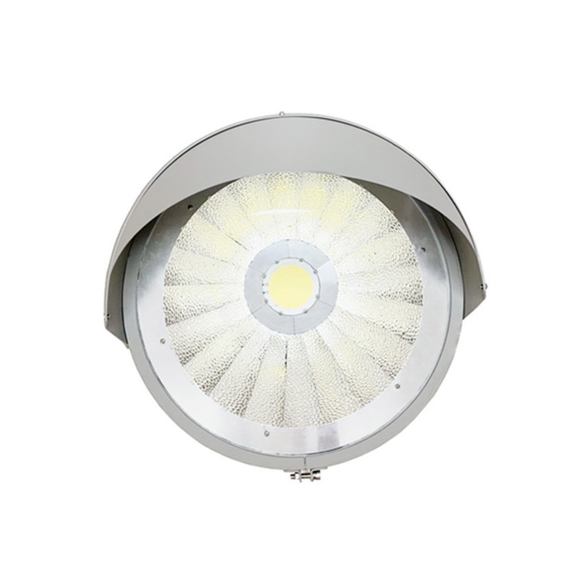 Shining Brilliance: Unveiling the 1000W COB LED