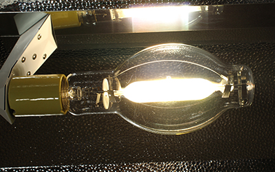 Standard-Metal-Halide-in-fixture