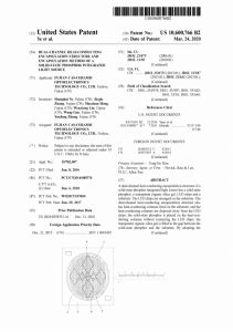 USA-COB-LIGHT-SOURCE-PACKAGIN-PCT-Patent-3