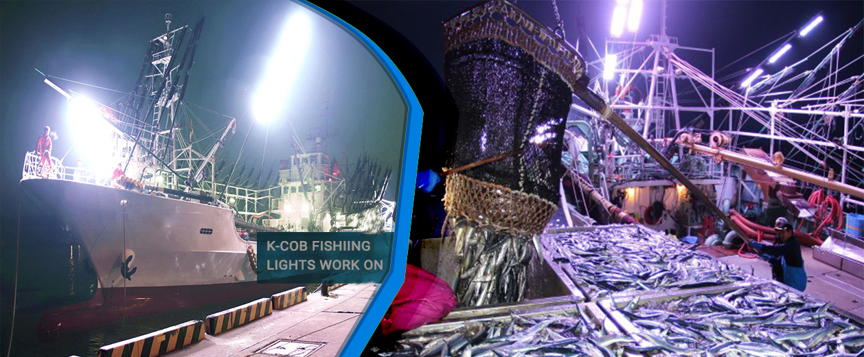 k-cob-fishing-lights-working-image