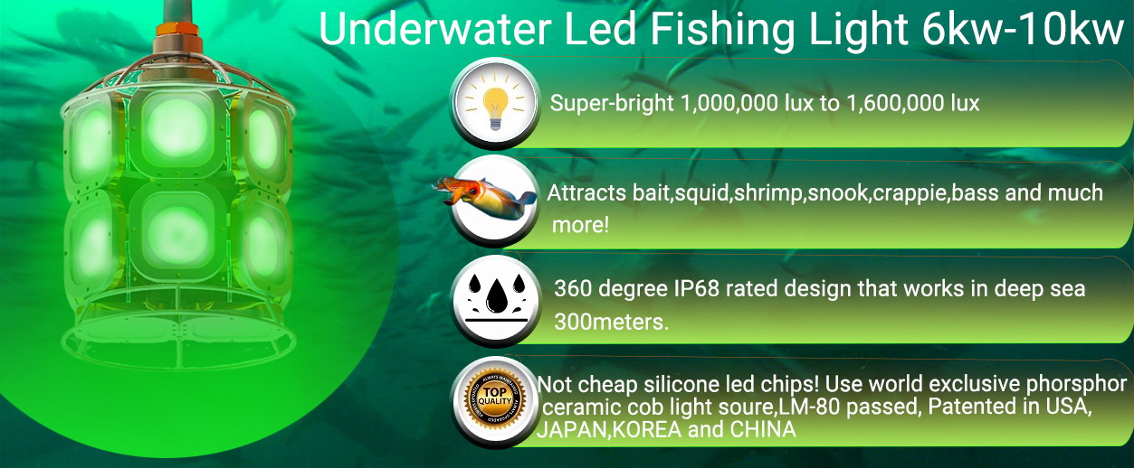 IP68 1000W Blue Green White LED Underwater Fish Lure Light - China  Attracting LED Fishing Light, Underwater Fishing Light