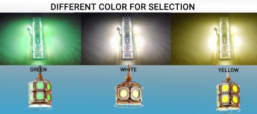 Lighting the Seas: Advancements in Marine Fishing with CAS CERAMIC Technology