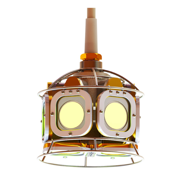 Illuminating the Depths: Introducing Squid Light Best in 2024